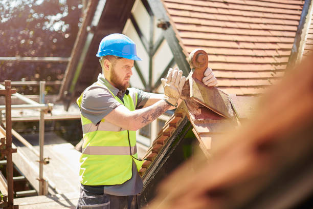 Best Roof Gutter Cleaning  in Wood Ridge, NJ